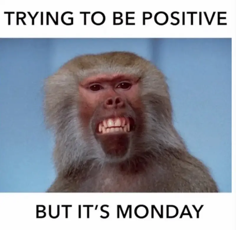 Yritän olla positiivinen mutta on maanantai aamu...
